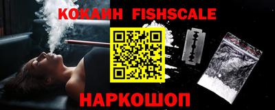 шишки Камышлов