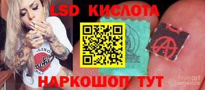 спайс Канаш