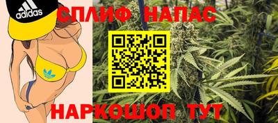 МДПВ Кинель