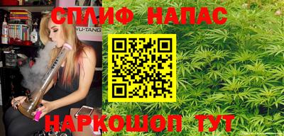шишки Камышлов