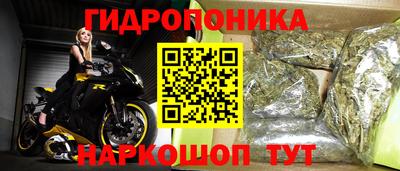 гашиш Кингисепп