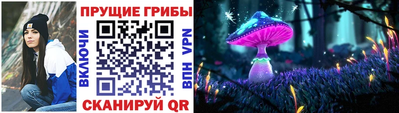 Псилоцибиновые грибы мицелий кракен зеркало Кумертау