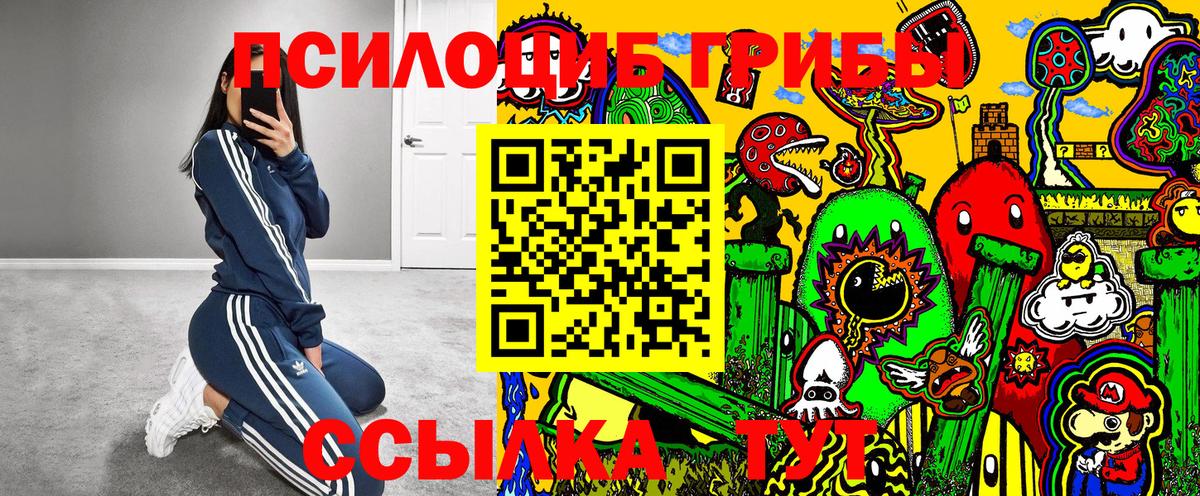 Галлюциногенные грибы MAGIC MUSHROOMS  Вход с VPN  купить наркотик  Кумертау 